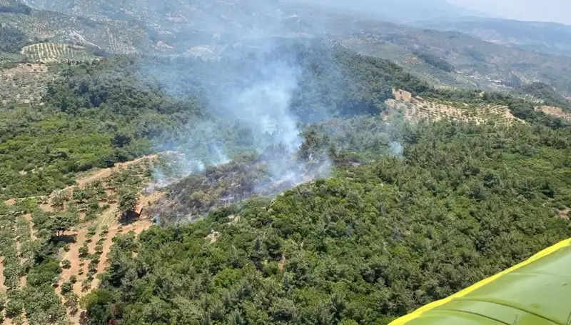 Aydın’da Dikkat Çeken Orman Yangını: Yangının Sebepleri ve Son Gelişmeler