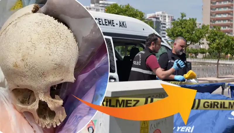 "Sitenin Çöpünden Çıkan Kafatası: Gizem Perdesi Aralandı!"