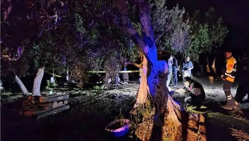 Çiftlikte Baltalı Vahşet: Olayın Ardındaki Korkunç Sır ve Tutuklama