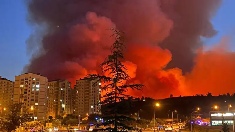 Bursa'da Tedirgin Edici Yangınlar: Şehir Alev Alev