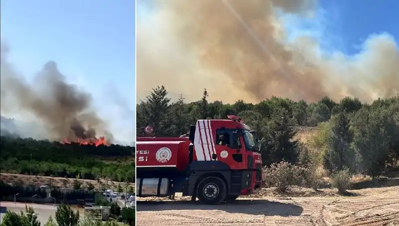 Gebze'de Orman Yangını: Nedenleri ve Sonrasında Yaşananlar