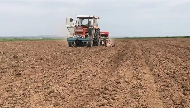 Son 35 Yıllık Tarihin En Kurak Mart Ayı: Türkiye’de Yağışlar Yüzde 59 Düştü