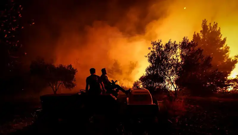 Çanakkale'de Orman Yangını Korkuttu: 785 Kişi Güvenli Bölgeye Tahliye Edildi