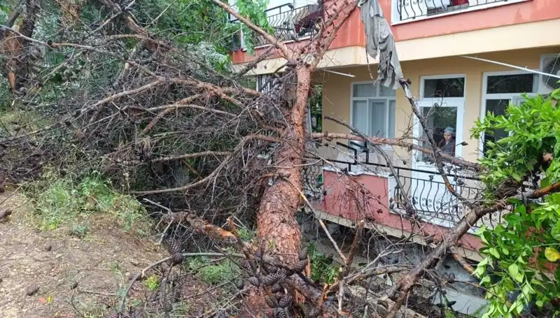Yağmur, Eski Binayı Yıkmaya Neden Oldu: Devrilen Yapının Ardındaki Sebepler Neler?