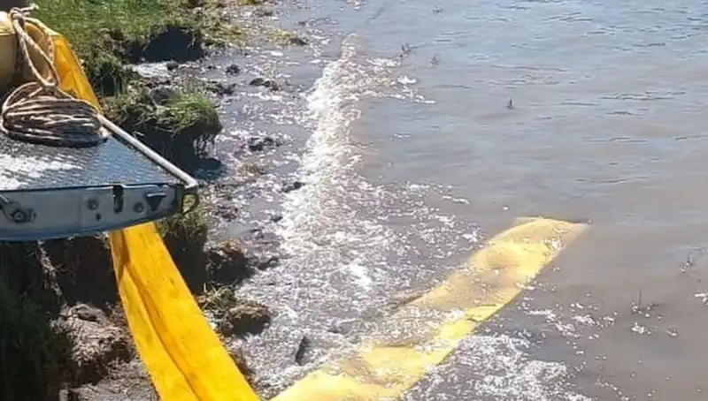 Bu Yaz Göletlere Bırakılan Yavru Balıklarla Su Hayatı Canlanacak
