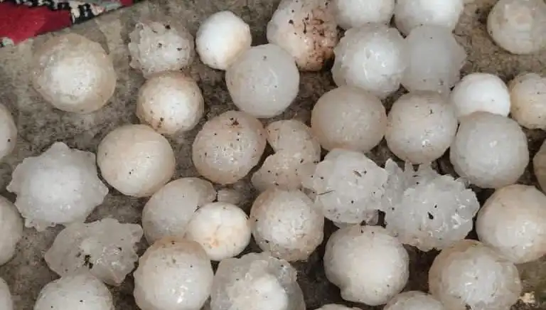 Şanlıurfa'da Kar Topu Büyüklüğünde Dolu Fırtınası Sırasındaki Yaşananlar