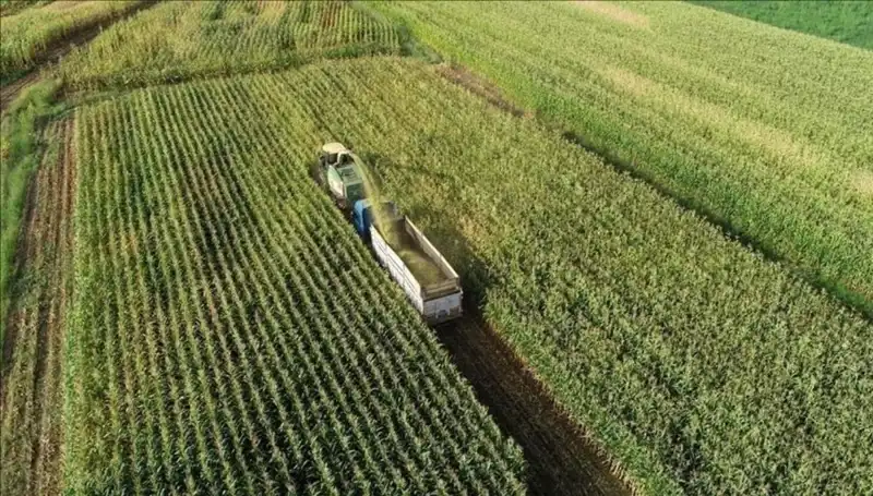 2025'te Mazot ve Gübre Desteği Ödemeleri: Son Durum ve Beklentiler