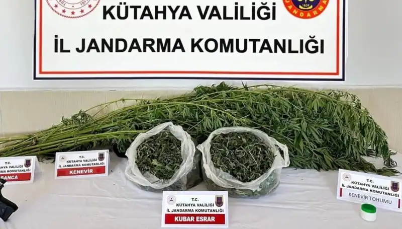 Kütahya'da Uyuşturucu Operasyonu: Tek Şahıs Maliyet Analizi
