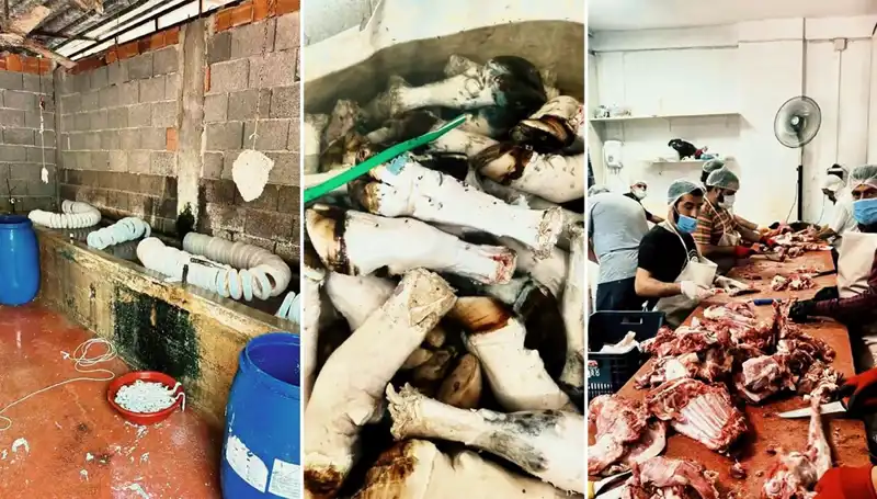 Adana'da Şok Eden Görüntüler: Yüzlerce Kilo Paça Ele Geçirildi
