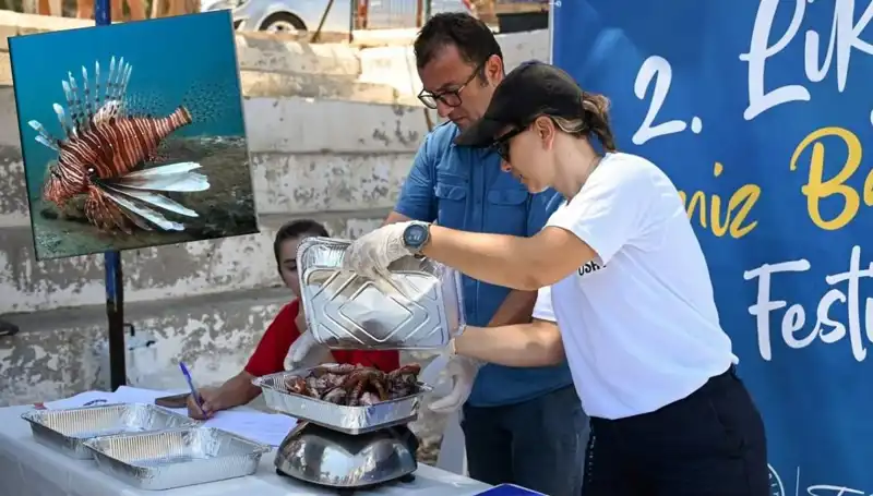 Antalya’da İstilacı Aslan Balığı Avlama Yarışması: Denizdeki Tehlikeye Karşı Mücadele