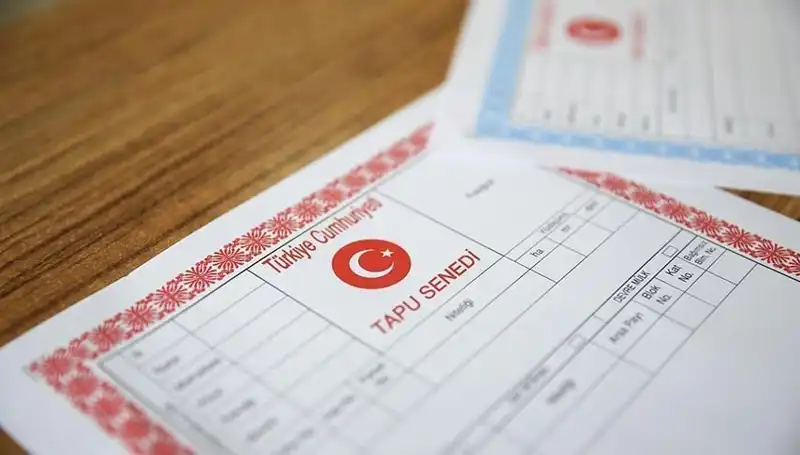 Hisseli Tapu Tuzakları: 100 Milyonluk Dolandırıcılık Ağının Arka Planı