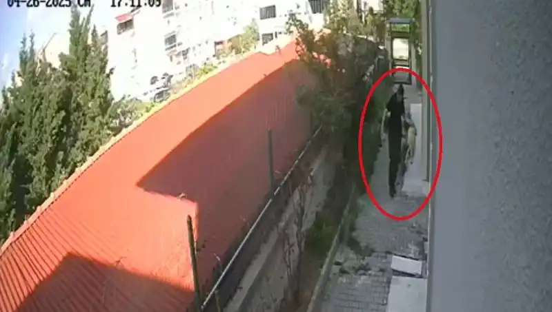 Hayvan Severlerin İnanmakta Zorlanacağı Olay: Doktorun Köpekleri Parçalaması!