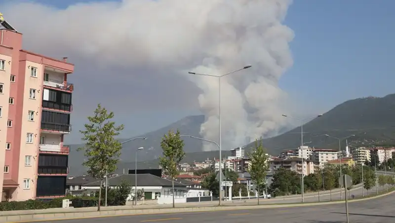Denizli'de Sıcak Saatler: Orman Yangını ve Gözaltı Şüpheleri