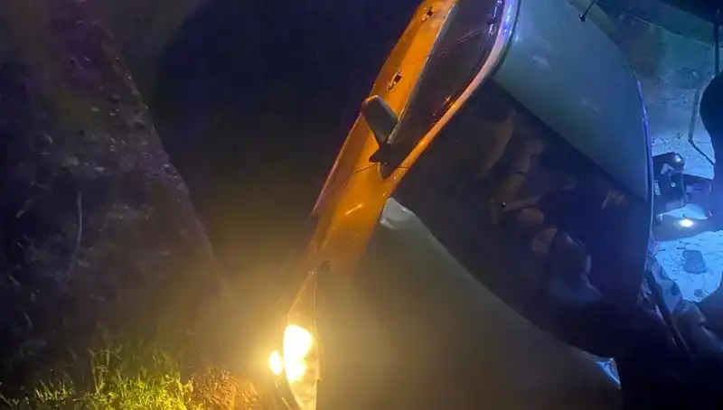 Adana'da Otomobilin Şarampole Devrilmesi: Kazanın Detayları ve Yaralılar Hakkında Bilgiler