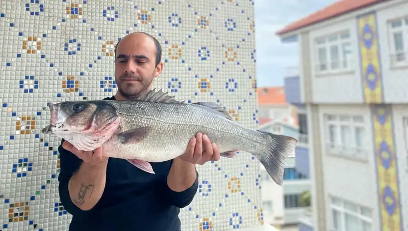 Türkiye'de Fırtına Gibi Esti: 7,5 Kiloluk Dev Levrek Avlandı!