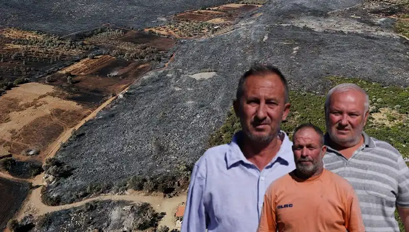 Çeşme'deki Yangın Felaketi: Yangının Ardında Kalan Acı Zarar