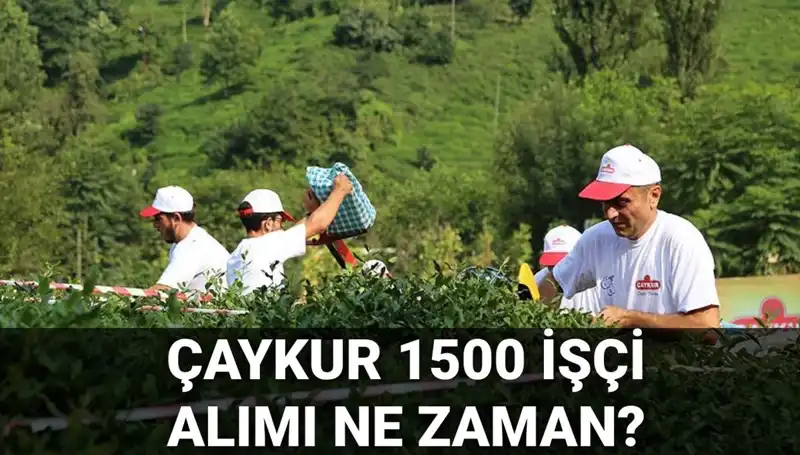Çaykur İşçi Alımı Başvuru Tarihleri Açıklandı! Başvurular Ne Zaman Başlayacak?